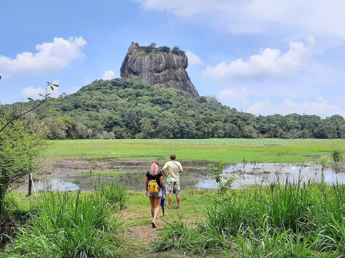 Galaxy View Homestay 시기리야 외부 사진