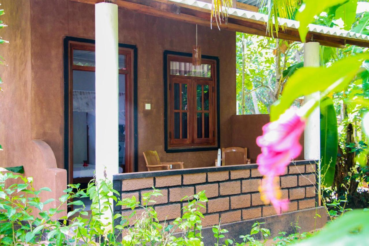 Galaxy View Homestay 시기리야 외부 사진