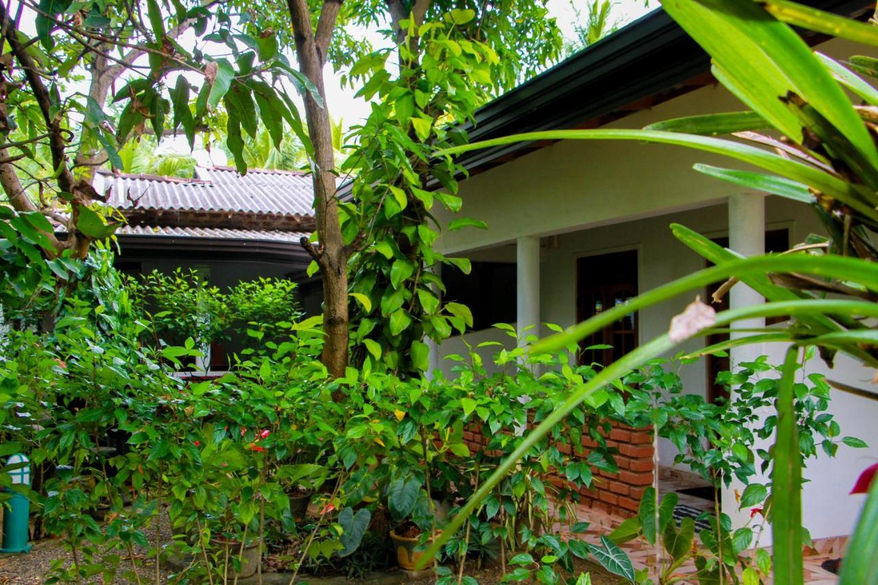 Galaxy View Homestay 시기리야 외부 사진
